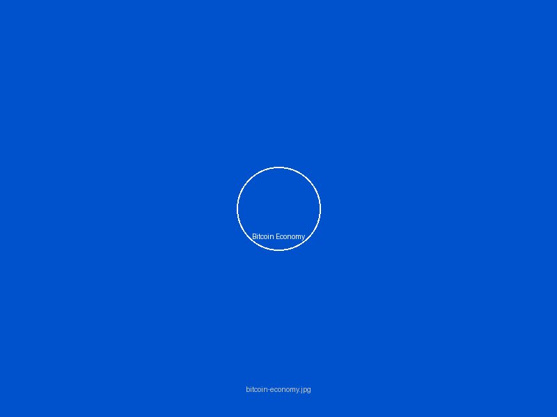 Bitcoin经济分析