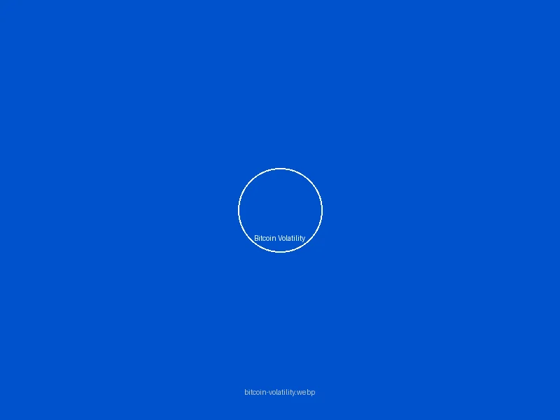 Bitcoin波动性分析
